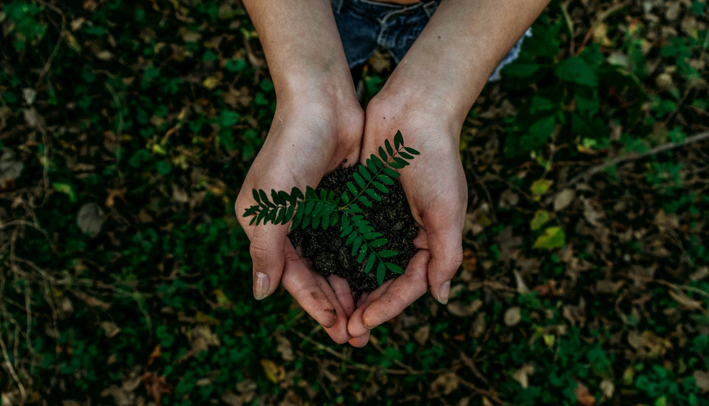 Why Eco-Friendly Packaging Is Essential for successful Companies